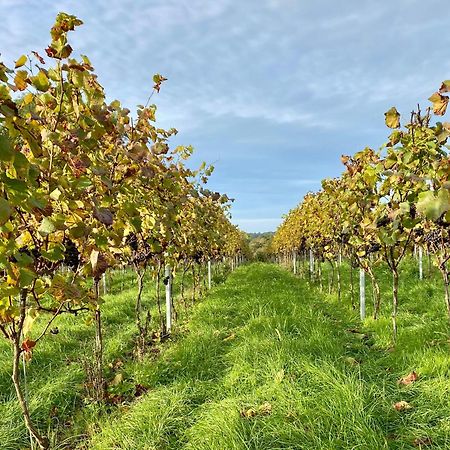 فيلا Potts Farm تنتردن المظهر الخارجي الصورة